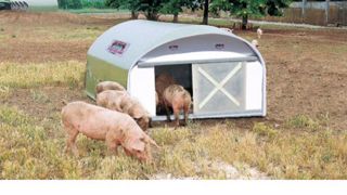 L'innovation Beiser pour que les porcs soient élevés dans le confort ! (©Beiser) L'innovation Beiser pour que les porcs soient élevés dans le confort ! (©Beiser)