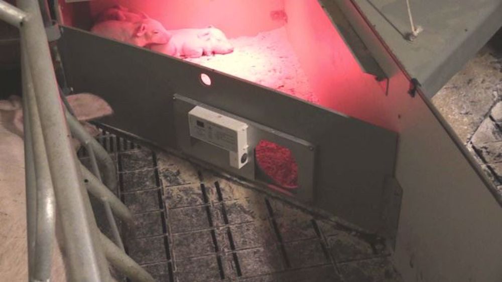 Porte d'allaitement alterné de RV Biotech - Veng System (©DR)