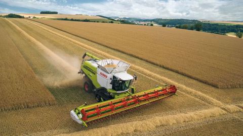 Sur les nouvelles coupes Vario 1230, Claas divise en deux les rabatteurs et la scie. (©Claas) Sur les nouvelles coupes Vario 1230, Claas divise en deux les rabatteurs et la scie. (©Claas)