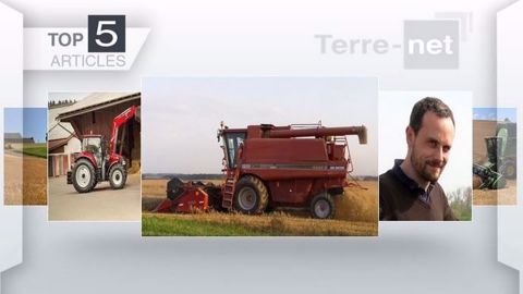 Moisson, néonicotinoïdes et tracteur Case au sommaire des 5 articles les plus lus cette semaine. (©Terre-net Média)