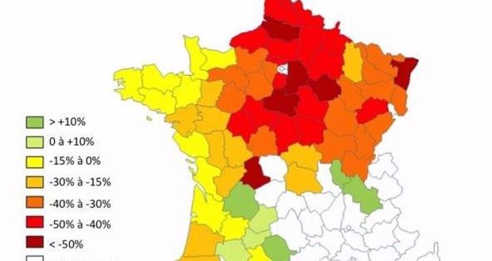 Les rendements sont attendus en baisse selon les régions.