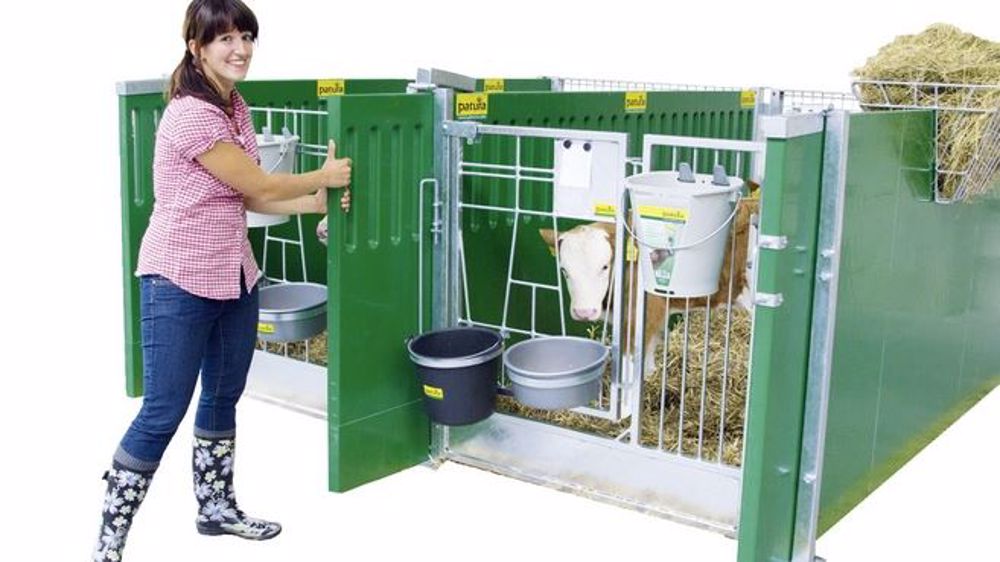 Le box à veaux Patura ont des parois amovibles pour loger les veaux à plusieurs. (©Patura)
