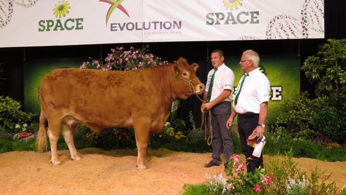 Gazelle remporte le premier prix en femelles qualifiées.