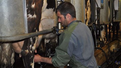 L'aide à la réduction de la production laitière doit être demandée par formulaire dématérialisé avant mercredi 21 septembre 2016 à midi. (©Terre-net Média) L'aide à la réduction de la production laitière doit être demandée par formulaire dématérialisé avant mercredi 21 septembre 2016 à midi. (©Terre-net Média)