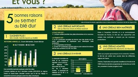 Affiche du plan de relance pour le blé dur (©Franceagrimer) Affiche du plan de relance pour le blé dur (©Franceagrimer)