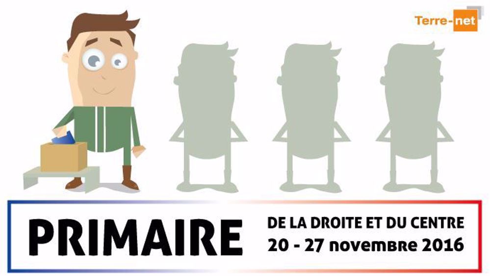 Combien d'agriculteurs iront voter à la primaire de la droite et du centre les 20 et 27 novembre prochain? (©Terre-net Média)