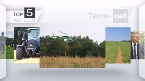 La découverte du semis de couverts d'interculture par hélicoptère<br />a fortement intéressé les lecteurs de Terre-net. (© Création Terre-net Média) La découverte du semis de couverts d'interculture par hélicoptère<br />a fortement intéressé les lecteurs de Terre-net. (© Création Terre-net Média)