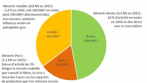 L'activité de fabrication d'aliment baisse sur un an de 10 % en bovin, 3,4 % en volailles et 3 % en porc. (©Coop de France / SNIA)