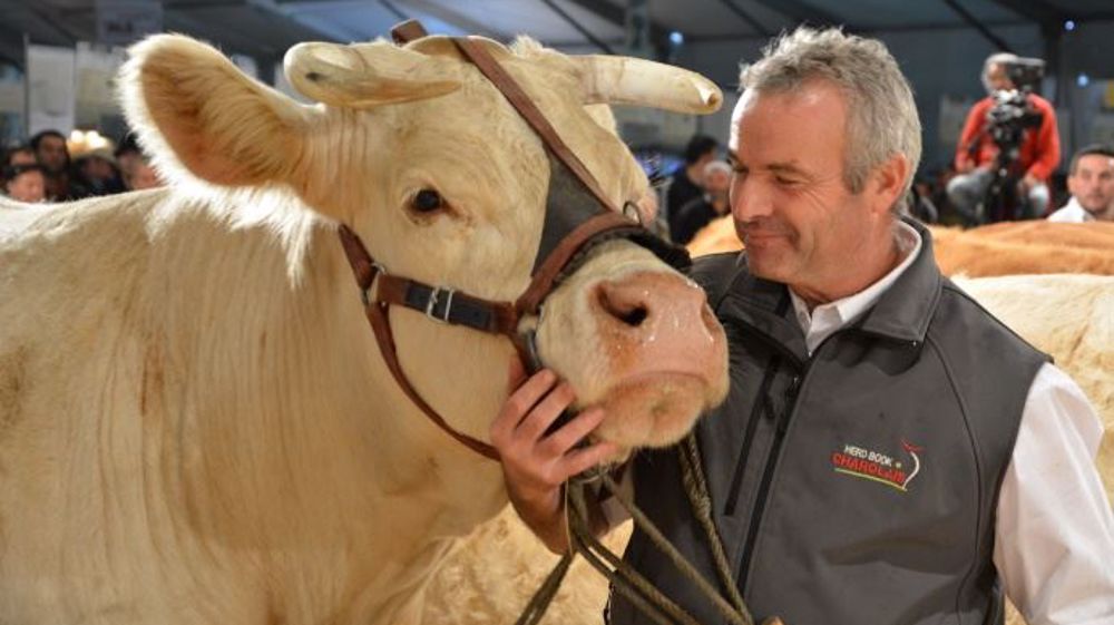 Cliquez pour voir les <a href="http://www.web-agri.fr/conduite-elevage/genetique-race/article/palmares-des-concours-bovins-du-sommet-de-l-elevage-2016-a-cournon-1175-122591.html" target="_self">horaires des concours lait et viande du Sommet de l'élevage 2016 </a>. (©Terre-net Média)  