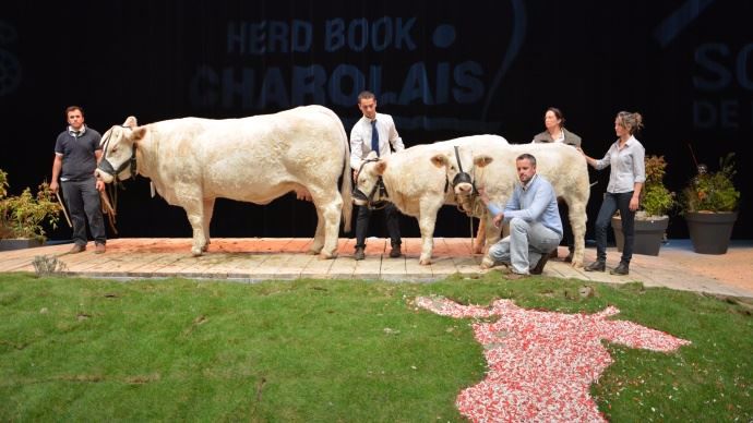Le prix de synthèse femelle revient à Fameuse (Damas) au Gaec Besson de l'Allier qui affiche un ISU de 127 points.