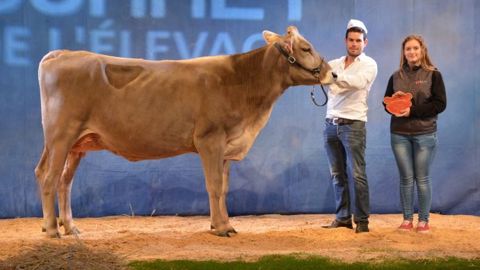 La championne jeune et grande championne : HBS Rosi (Fun ABF x Elevation) à la Scea Les 3 M, venue de Loire-Atlantique (44). (©Terre-net Média)