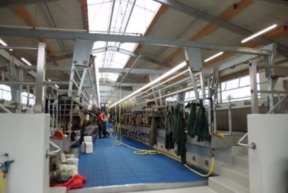 salle de traite 2x24 postes avec pulsateurs en sous-sol.