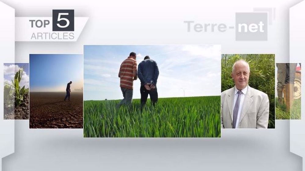 Les cinq articles les plus lus sur Terre-net cette semaine. (©Terre-net Média)