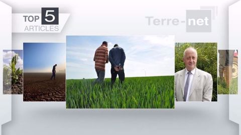 Les cinq articles les plus lus sur Terre-net cette semaine. (©Terre-net Média)