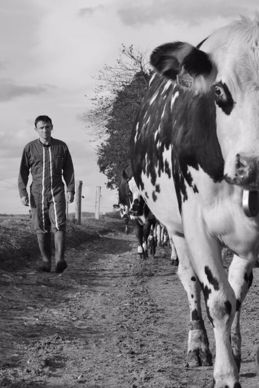 Sur le chemin de la traite