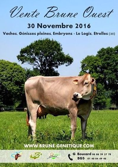 Affiche vente Brune Ouest 2016 (©DR)