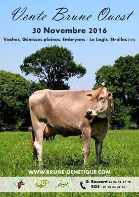 Affiche vente Brune Ouest 2016