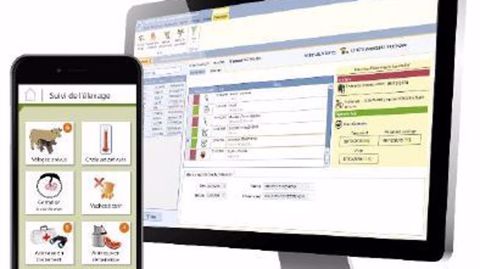 Les informations saisies sur l'application mobile Troup'O sont simultanément enregistrées sur l'ordinateur. (©DR)