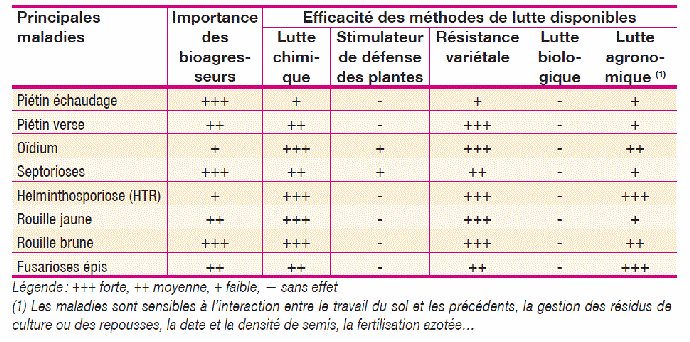 Efficacité des différentes techniques de lutte contre les principales maladies du blé (source : Arvalis)