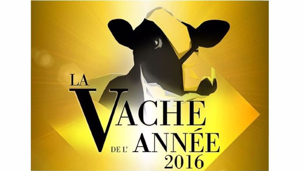 Le concours de la vache de l'année 2016 est ouvert aux votes des "primaires" jusqu'au lundi 14 novembre, puis du 15 au 18 pour le "second tour".(©DR)