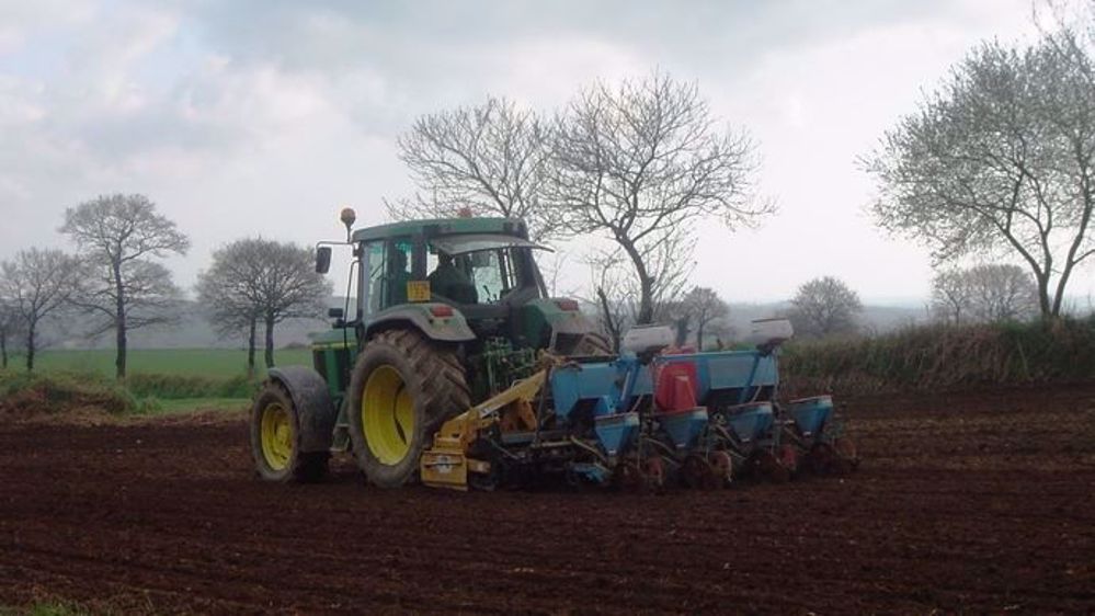 Au Brésil, l'heure est aux semis de maïs et de soja. (©Terre-net Média)