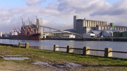Le Rhin a retrouvé un niveau des eaux suffisant pour permettre la navigation. (©Terre-net Média)