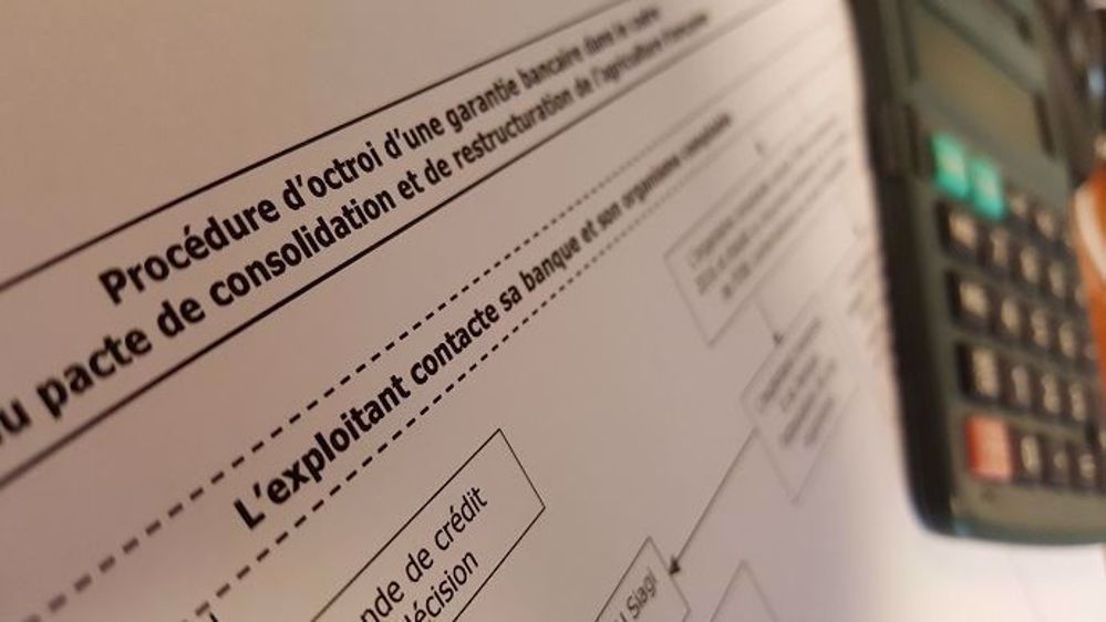 Sur le terrain, la mesure de garantie publique, censée permettre le financement des exploitations à hauteur de 1,5 Mds€, n'est pour l'heure pas utilisée. (©Terre-net Média)