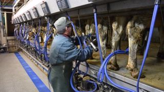 Les éleveurs en difficulté recensés en cellules d'urgence<br />bénéficieront d'une aide supplémentaire de 1 000 € en décembre. (©Terre-net Média) Les éleveurs en difficulté recensés en cellules d'urgence<br />bénéficieront d'une aide supplémentaire de 1 000 € en décembre. (©Terre-net Média)