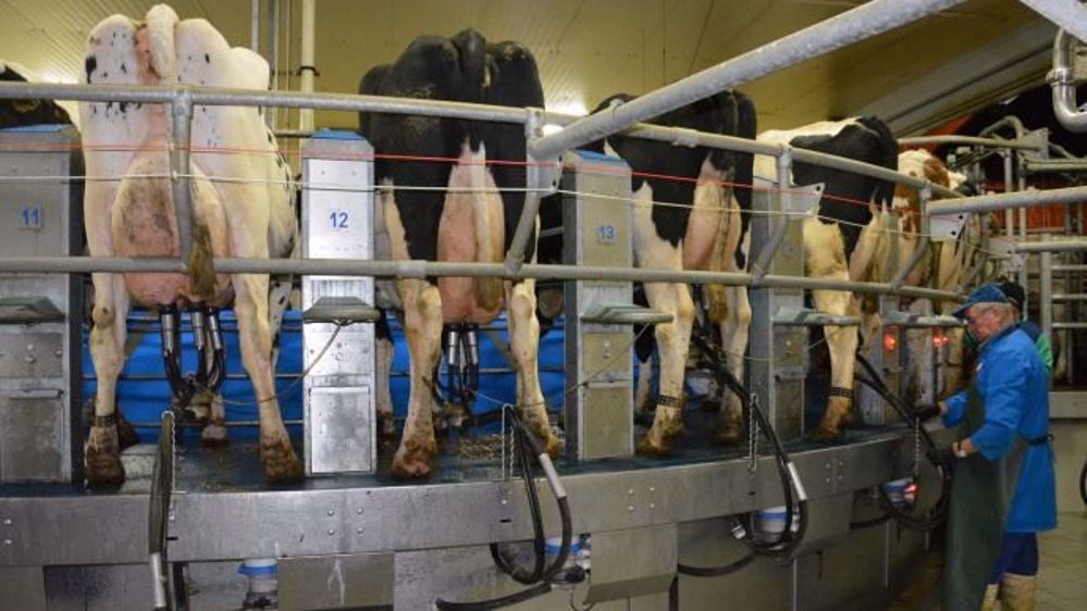 Dans son rapport sur le « Paquet lait », la Commission européenne estime que les États membres et les producteurs peuvent aller plus loin dans l'organisation de ces derniers. (©Terre-net Média)