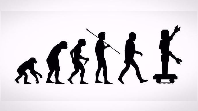 Schéma évolution espèce humaine