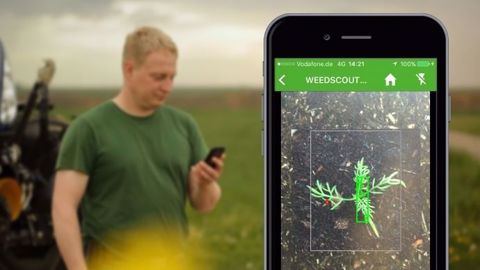 L'appli Weedscout s'enrichit des contributions des utilisateurs. (©Bayer) L'appli Weedscout s'enrichit des contributions des utilisateurs. (©Bayer)
