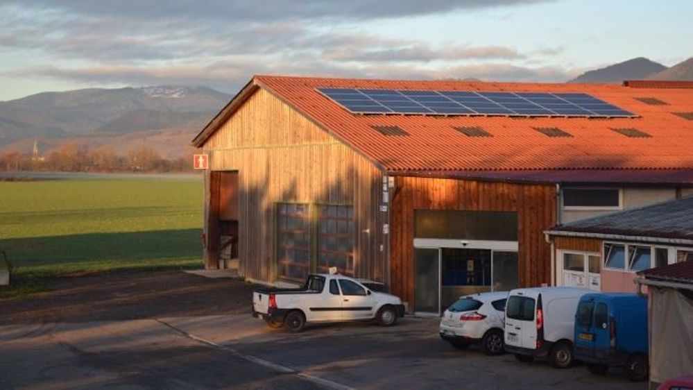La bioéconomie correspond à « l'économie de la photosynthèse, et plus largement du vivant », à travers l'exploitation de la biomasse et l'utilisation de l'énergie solaire. (©Terre-net Média)