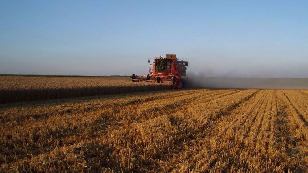  En moins de dix ans, la production ukrainienne de grandes cultures est passée d’environ 40 Mt à plus de 60 Mt. (©Terre-net Média)
