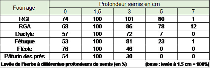 Profondeur de semis espces prairie