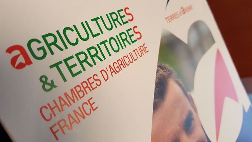 Les chambres d'agriculture épinglées par le Cour des comptes qui estime qu'elles n'ont pas fait suffisamment d'efforts structurels pour se mettre au service des agriculteurs. (©Terre-net Média)