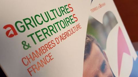 Les chambres d'agriculture épinglées par le Cour des comptes qui estime qu'elles n'ont pas fait suffisamment d'efforts structurels pour se mettre au service des agriculteurs. (©Terre-net Média)