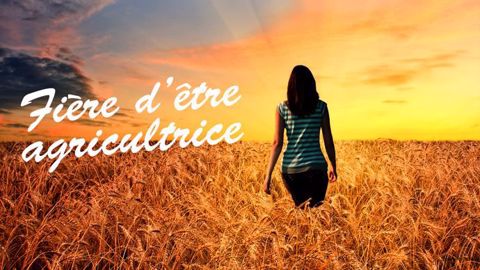 Les femmes sont plus d'un demi-million à travailler dans l'agriculture. Le <a href="http://agriculture.gouv.fr/alimentation/les-femmes-actrices-incontournables-du-monde-agricole" target="_blank">ministère de l'agriculture </a> dénombre en 2014 « 113 200 cheffes d'exploitation ou d'entreprise agricole, 31 000 collaboratrices d'exploitation et 394 000 salariées dans la production agricole. Elles repr