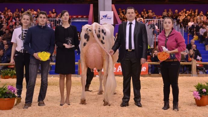 Meilleure mamelle jeune : Homère EFP (Danillo) au Gaec Parisse de l'Allier (03)