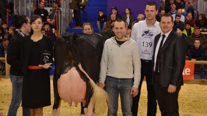 Meilleure mamelle adulte : Michard Dream (Goldwyn) du Gaec Michard dans les Côtes d'Armor (22)