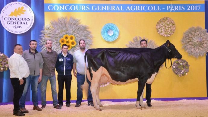 Championne jeune :JB Toullec Yorickroxy (Yorick) au Gaec Toullec du Finistère (29)