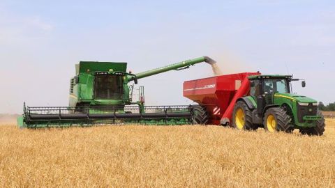 Le bond des exportations américaines a déclenché une forte hausse des cours du blé.<strong> </strong>(©Terre-net Média)