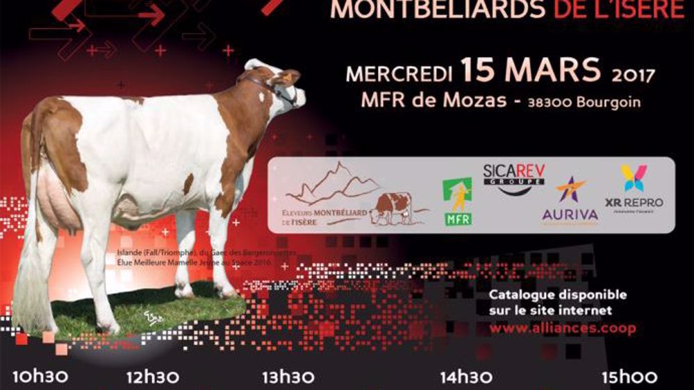 Journée promotion pour les éleveurs montbéliards de l'Isère (©DR)