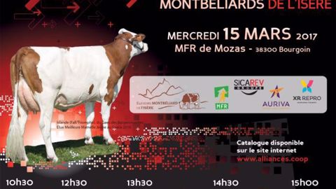 Journée promotion pour les éleveurs montbéliards de l'Isère (©DR) Journée promotion pour les éleveurs montbéliards de l'Isère (©DR)