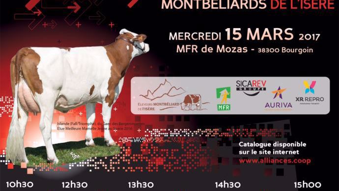 Journée promotion pour les éleveurs montbéliards de l'Isère