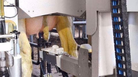 Les robots de traite Boumatic bénéficient d'une tête à double prise pour optimiser les déplacements du bras et gagner du temps. (©Boumatic Robotics) Les robots de traite Boumatic bénéficient d'une tête à double prise pour optimiser les déplacements du bras et gagner du temps. (©Boumatic Robotics)