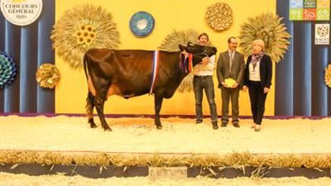Harness au Gaec Vaesken est la championne Rouge flamande. (©Sia)