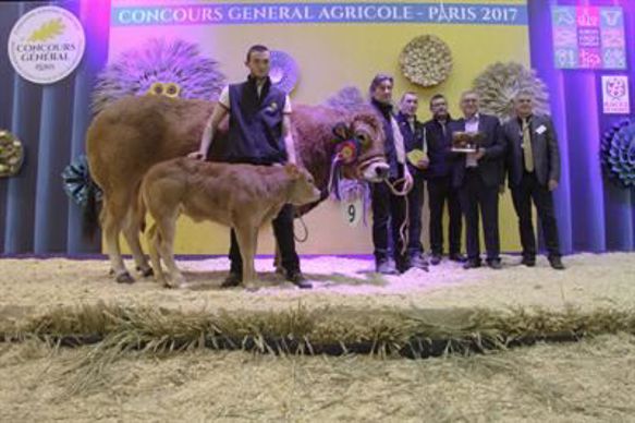 Hulotte, championne parthenaise.
