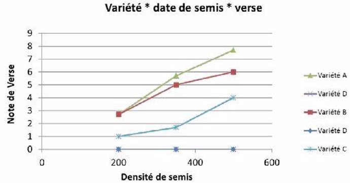 Figure 2 : Impact de la densité de semis de variétés de blé tendre sur le risque de verse – Illustration avec l’essai Vraux (51) – semis 12/10/2006 – modalités densité de semis couplées à des variétés.