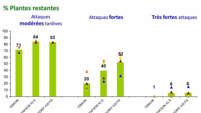 Figure 2 : Efficacité des traitements de semences répulsifs sur les attaques de corvidés selon l’intensité des attaques sur maïs (11 essais de 2011 à 2016)