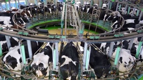 Lactalis, propriétaire de marques comme Lactel, Bridel, Président, Lanquetot ou Roquefort Société, a réalisé un chiffre d'affaires de 17 milliards d'euros en 2015. (©Terre-net Média)